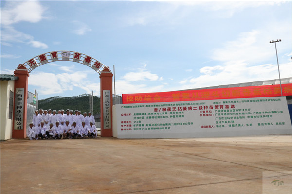 無(wú)菌育苗基地